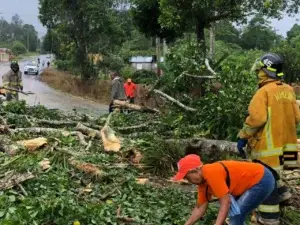 Medio Ambiente colabora con organismos de socorro ante paso del huracán Fiona