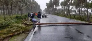 En María Trinidad Sánchez han comenzado a sentirse con furia los vientos del huracán Fiona