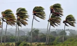 Sin electricidad y ríos desbordados, situación que vive munícipes de Samaná a causa de Fiona