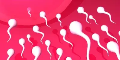 Los espermatozoides no nadan frenéticamente hacia el óvulo