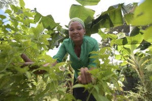 La mujer rural y su rol protagónico en la erradicación del hambre