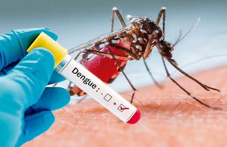 Dengue  mantiene alta incidencia de casos en el país