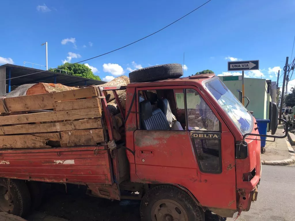 Envían hombre a  prisión  por corte ilegal de árboles en Moca