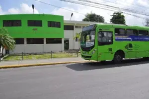 Autobuses de la OMSA volverán a transportar a fanáticos de la pelota invernal