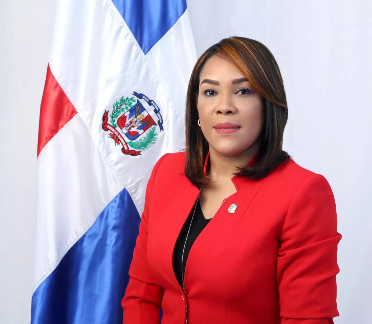 Diputada trabaja proyecto en favor de hijos de dominicanos residentes en extranjero