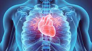 Bloqueo Cardíaco ¿Qué son y cómo tratarlos?