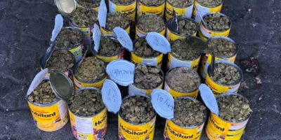 Autoridades incautan otras 25 latas rellenas de marihuana en Puerto Haina