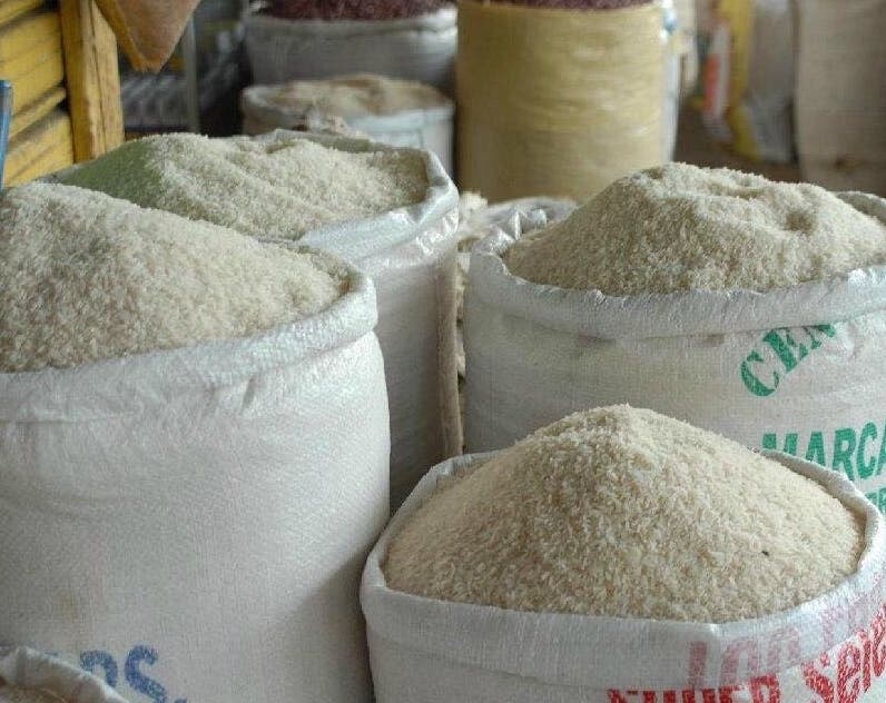 Rivero saludó protección a productores de arroz