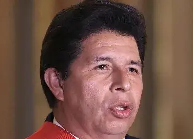 Pedro Castillo convocaría todos los poderes