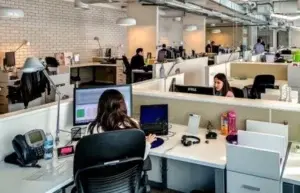 En lo laboral se incorporan nuevos empleos formales