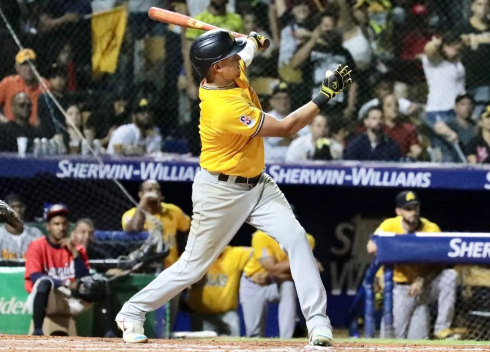 Águilas vencen Leones; se afianzan en  primer lugar