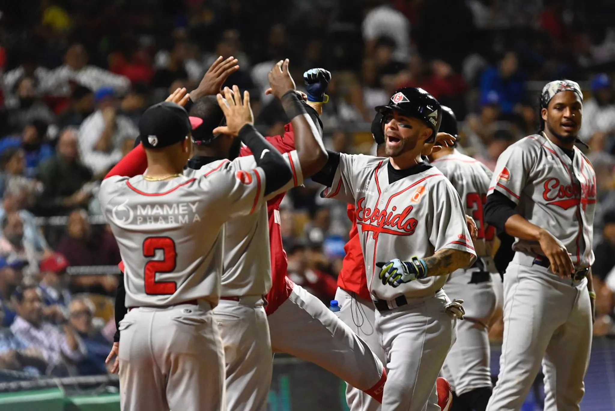 El Escogido le repite dosis a los Tigres del Licey por segundo día seguido