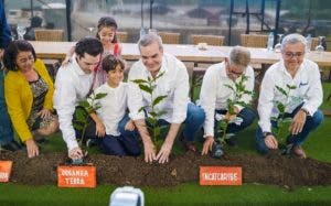 Proyecto de café que cuida al medio ambiente