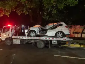 Hombre muere tras caerle árbol a vehículo