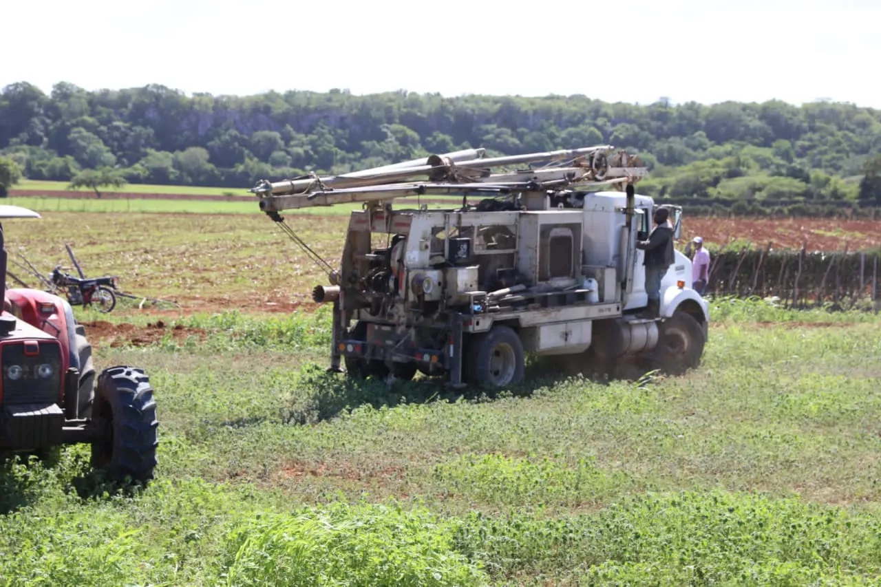 Agricultura lanza en Puerto Plata siembra de maíz temporada 2022