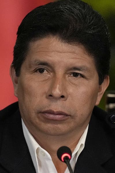 Países  tienen a Castillo como presidente Perú