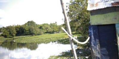 Desterrar el barrio La Zurza y fomentar en ese lugar un bosque de bambú