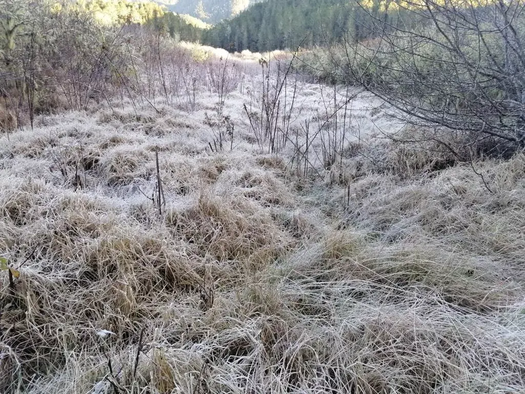 Temperaturas de hasta 9 grados en algunas zonas del país, informa Meteorología