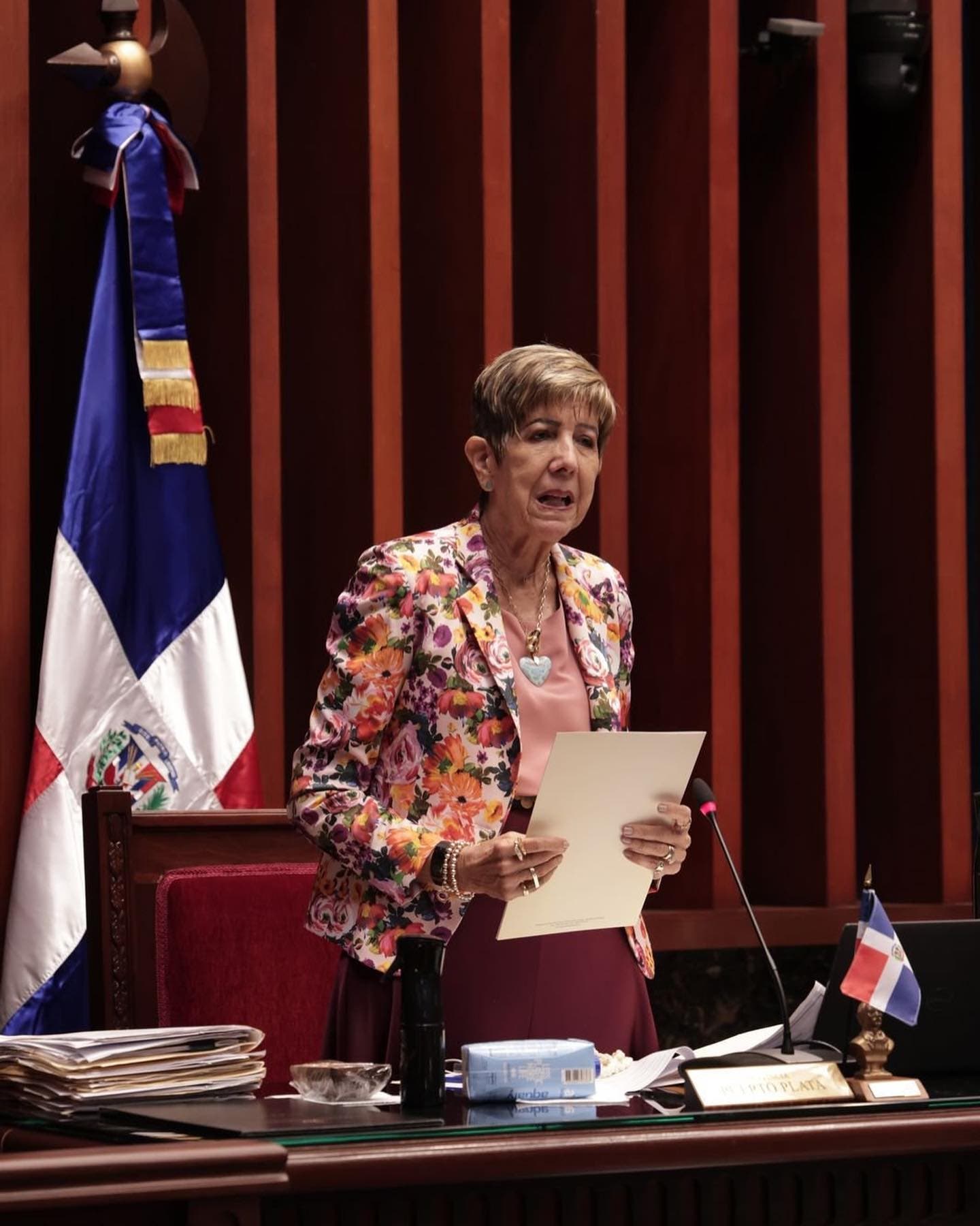 Senadora Ginette Bournigal solicita a Prouraduría designar fiscal de tránsito suplente en Puerto Plata