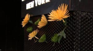 Flores amarillas y verdes en Times Square recuerdan a Pelé tras su muerte