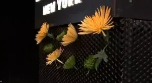 Flores amarillas y verdes en Times Square recuerdan a Pelé tras su muerte