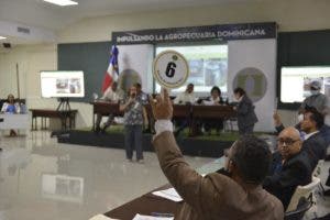 Aduanas recaudó más de 100 millones en subastas públicas durante en el 2022