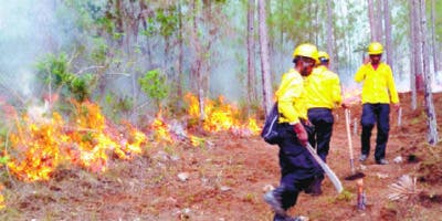 El 90 % incendios forestales los provoca la gente