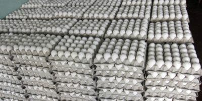 Gobierno levanta restricción de exportación de huevos