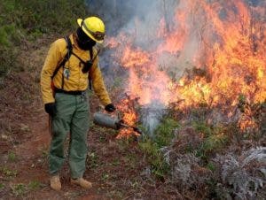 olas de calor e incendios marcaron cambio climático en A.Latina en 2022