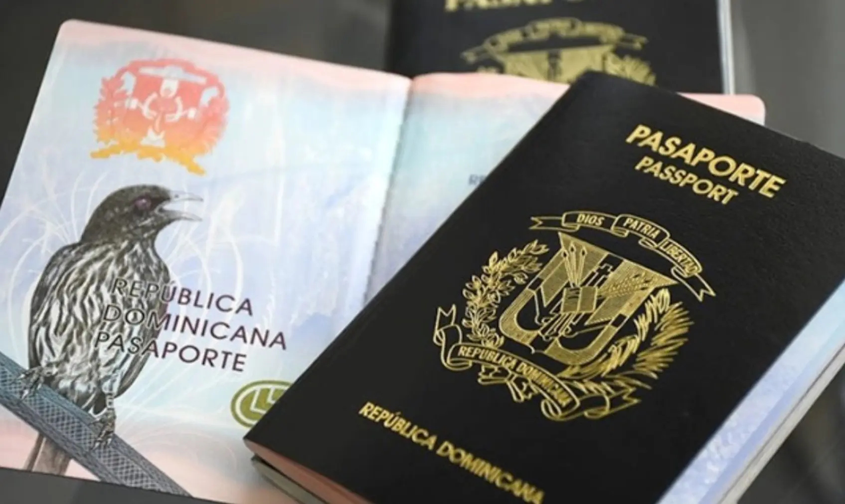 Sello extenderá vigencia pasaportes es retroceso mejoras de seguridad