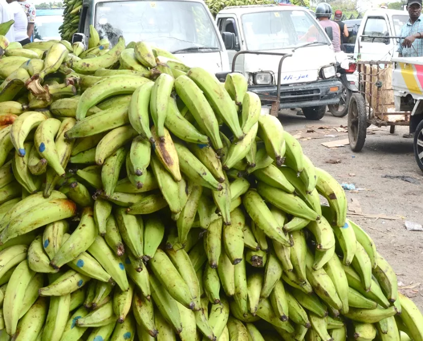 En  febrero se espera que  precio del plátano baje