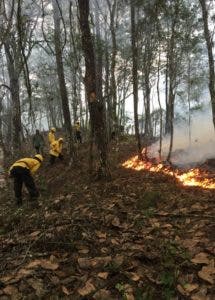 Incendios de interfaz, una amenaza creciente