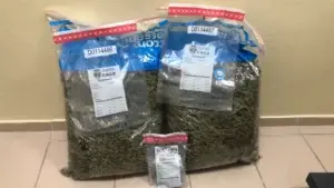 Detienen mujer llegó con 30 libras de marihuana por el Aeropuerto del Cibao