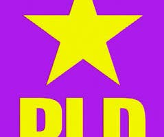 PLD escoge candidatos circunscripción 3 DN