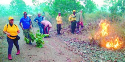 Incendio Valle Nuevo  obliga sumar fuerzas