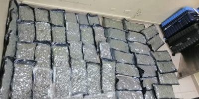 DNCD detiene estadounidense en el aeropuerto Cibao con 54 paquetes de marihuana