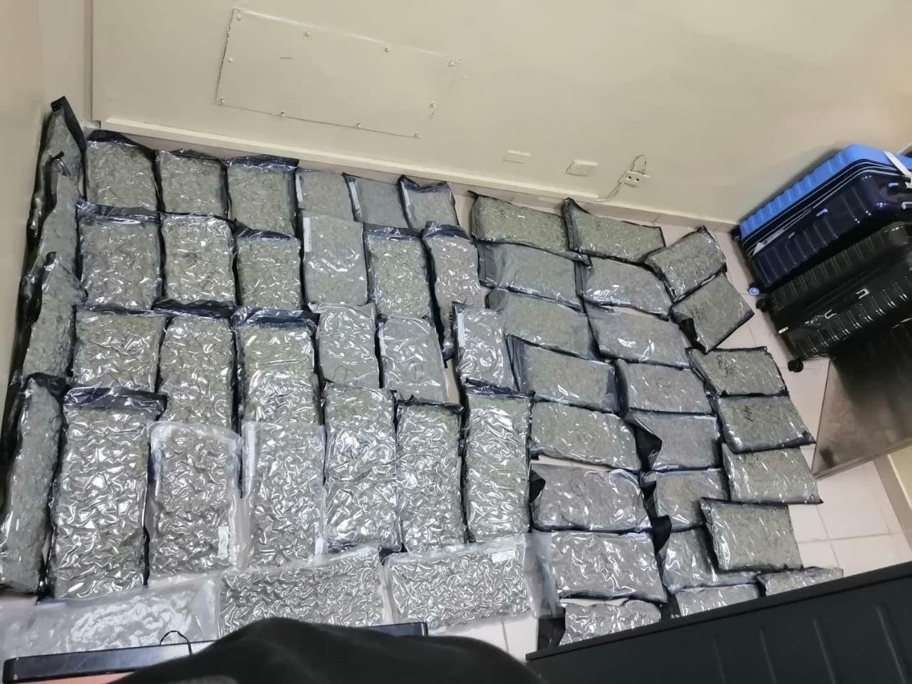 DNCD detiene estadounidense en el aeropuerto Cibao con 54 paquetes de marihuana