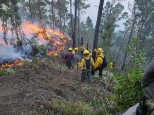 Brigadas tratan apagar incendio de Valle Nuevo