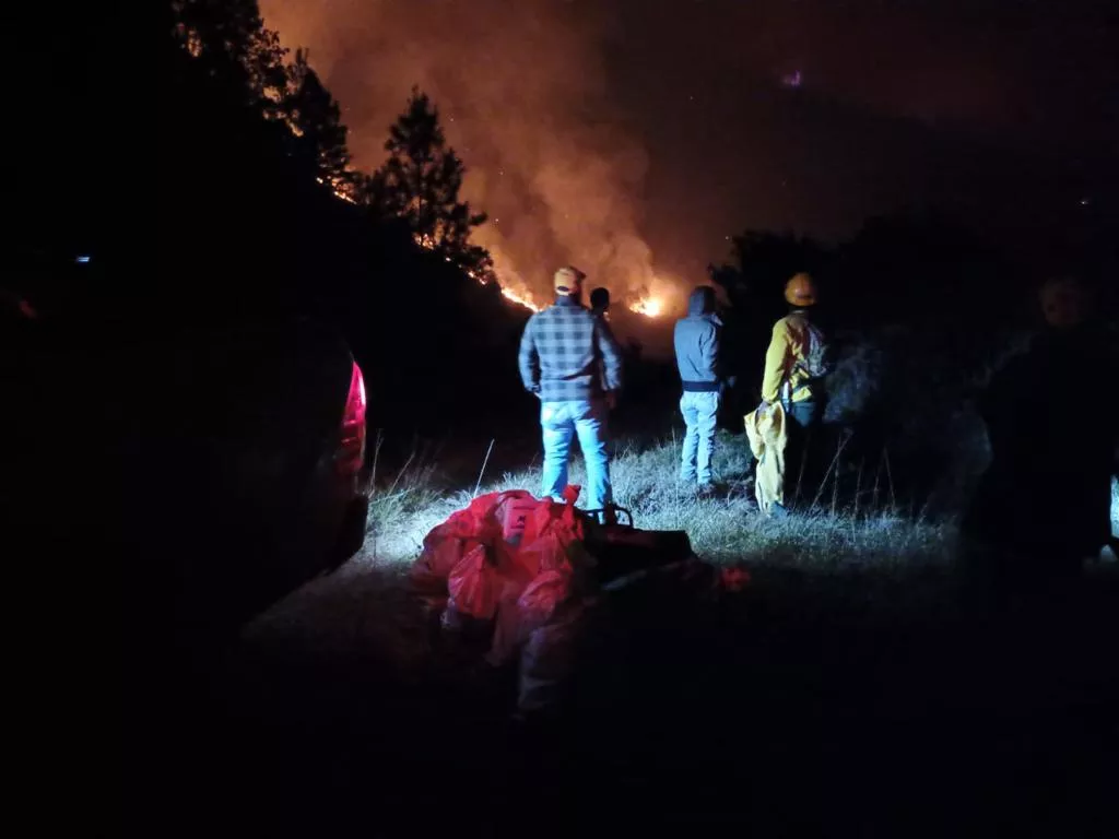 Medio Ambiente trabaja para controlar incendio forestal en Valle Nuevo