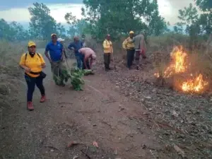 Medio Ambiente suma personal al combate incendio de Valle Nuevo