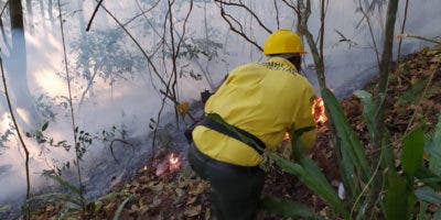 Someterán a la justicia responsables de incendios forestales en Barahona