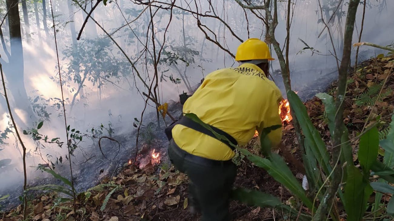Someterán a la justicia responsables de incendios forestales en Barahona
