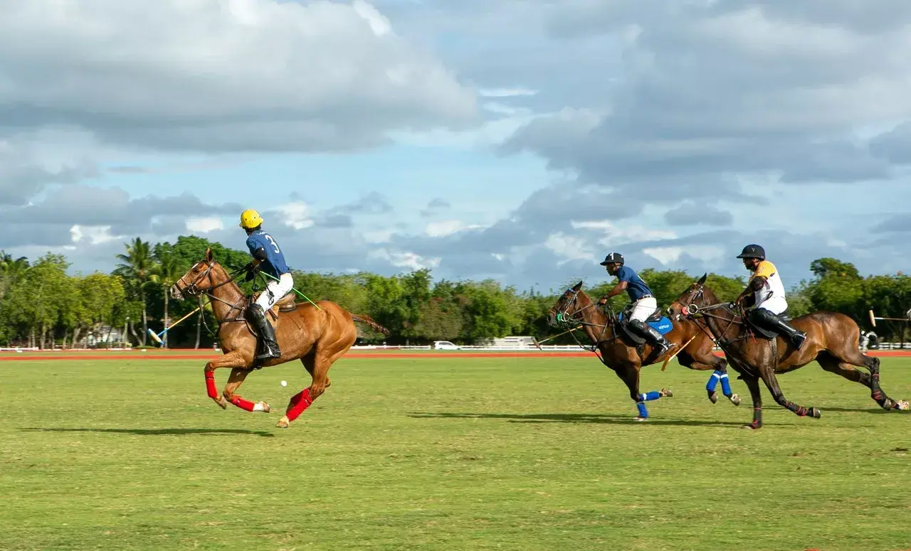 La BRITCHAM anuncia su Copa Británica de Polo, en su VIII edición