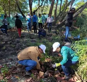 Inician programa de restauración de humedales en lagunas Redonda y Limón, y ría Maimón