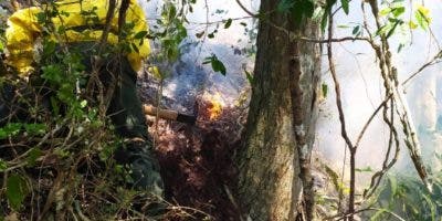 Controlan incendios forestales en Barahona