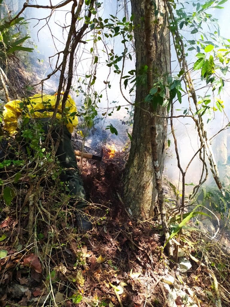 Controlan incendios forestales en Barahona