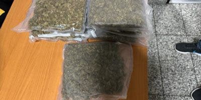DNCD decomisa 17 paquetes de marihuana camuflados en aspiradora y cajas de cereal
