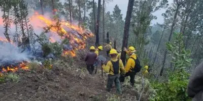 Brigadas forestales siguen trabajando para sofocar incendio de Valle Nuevo