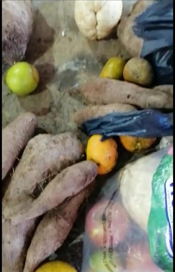 Ministerio de Agricultura decomisa contrabando de frutas y vegetales procedente de PR