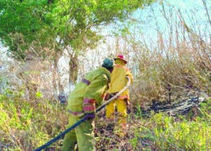 Incendio  Valle Nuevo está controlado